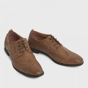 Brown Leather Lace-up Brogues