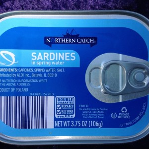 Northern Catch Sardines In Hot Sauce