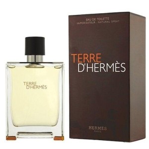 Hermes Terre D'hermes EDT 100ml